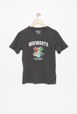 T-shirt AERO à imprimé graphique Harry Potter Hogwarts pour garçon